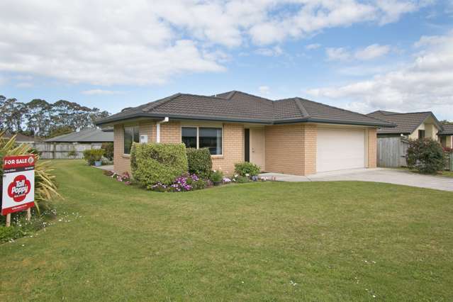 55 Wills Road Katikati_2