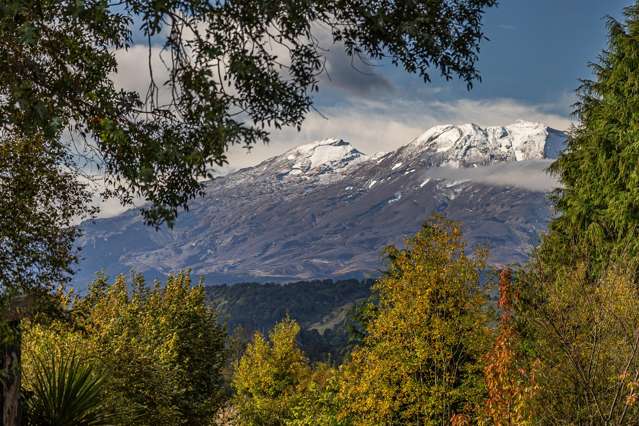 1/20 Rangataua Road Ohakune_2
