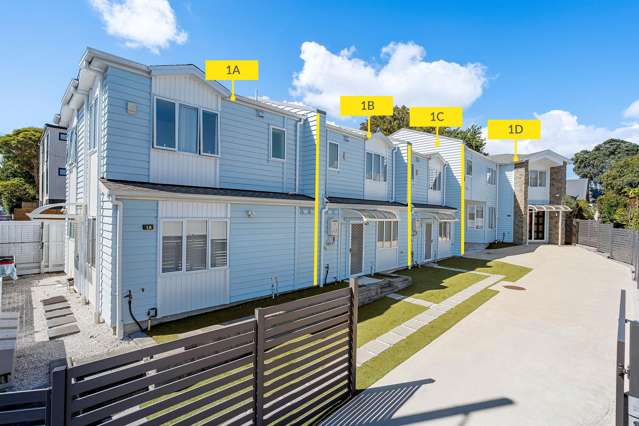 Live In, Invest, or Both in prime Mt Albert