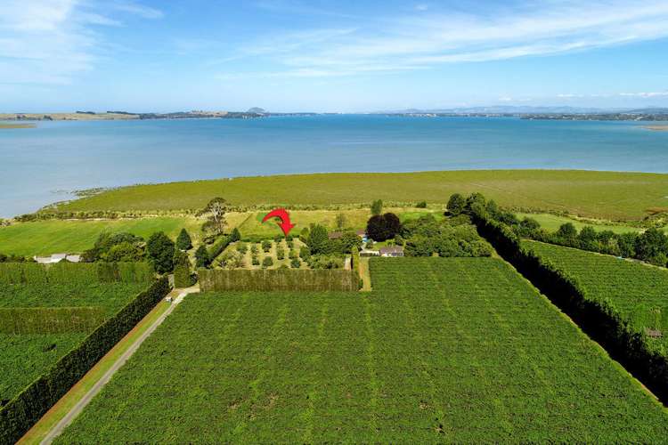 380b Matahui Road Aongatete_20