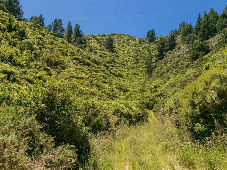 Waitaria Bay Kenepuru Sound_10