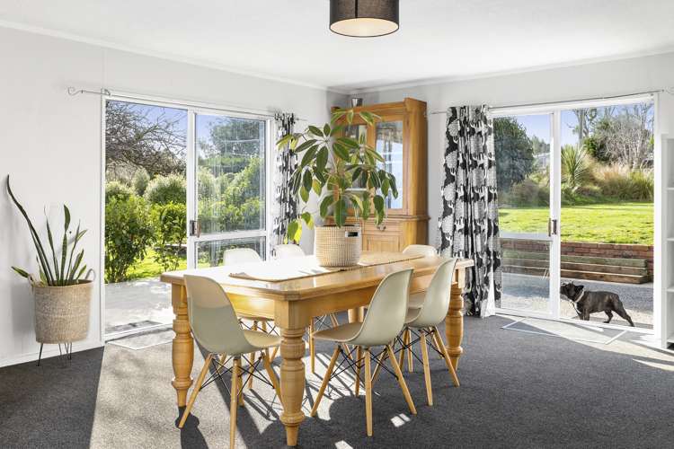 15 Green Island Bush Road Blackhead_5