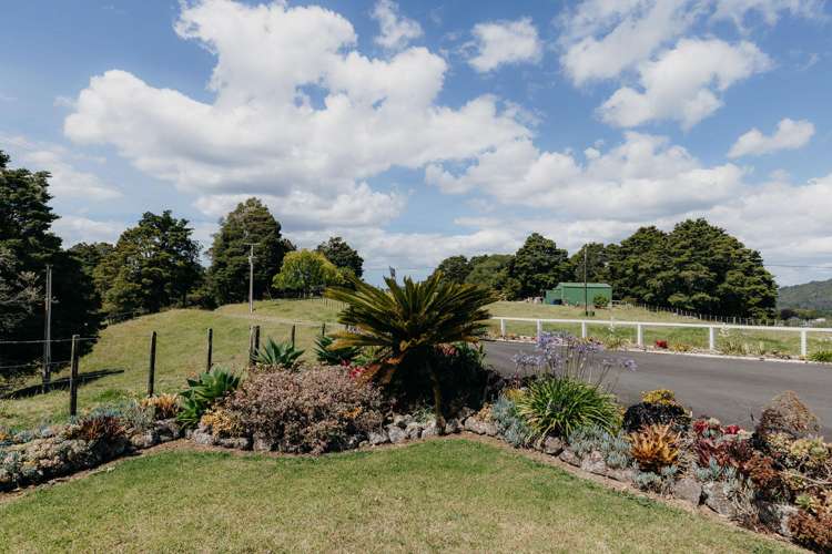 48 Bedlington Street Whau Valley_9