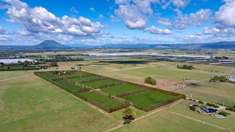 469 Western Drain Road Edgecumbe_16
