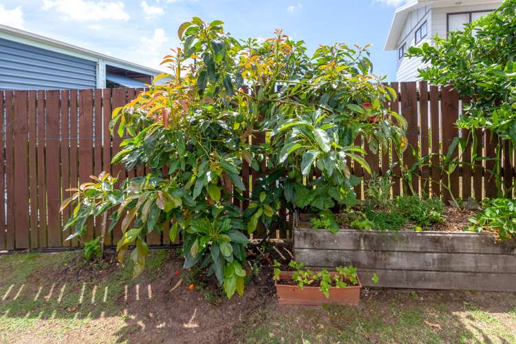 313b Given Avenue Whangamata_29