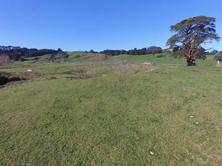 263a Ngatitangata Road Waihi_5