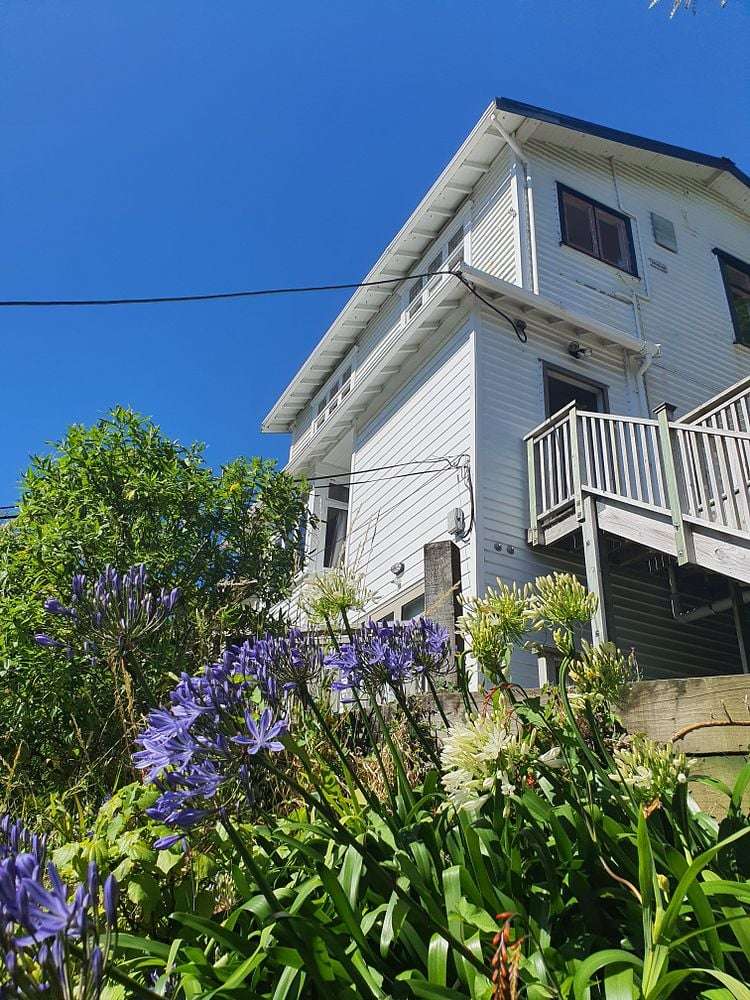 43C Wilton Road Wadestown_17