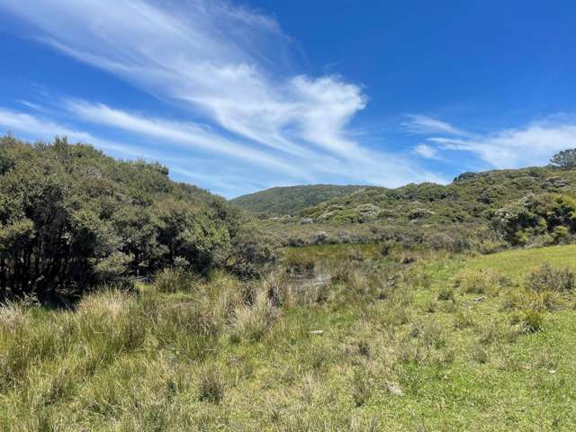 Lot 32 Kaitoke Lane Great Barrier Island_4