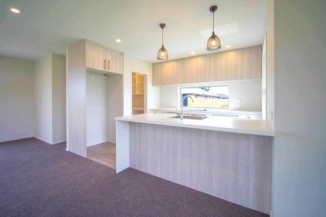 5 Fry Place Rolleston_2