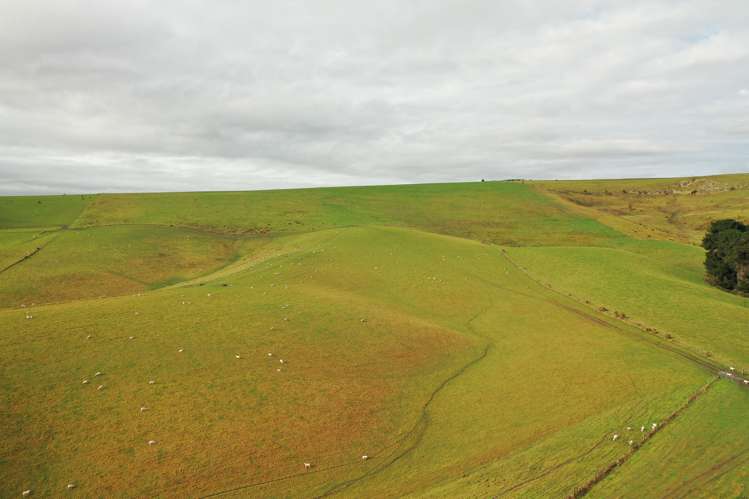 319 Monument Road Pleasant Point_12