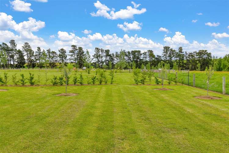 310 Mackenzies Road Waipara_29