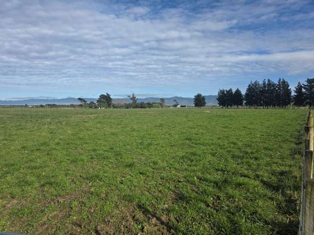 Kahutara  Road Martinborough_4