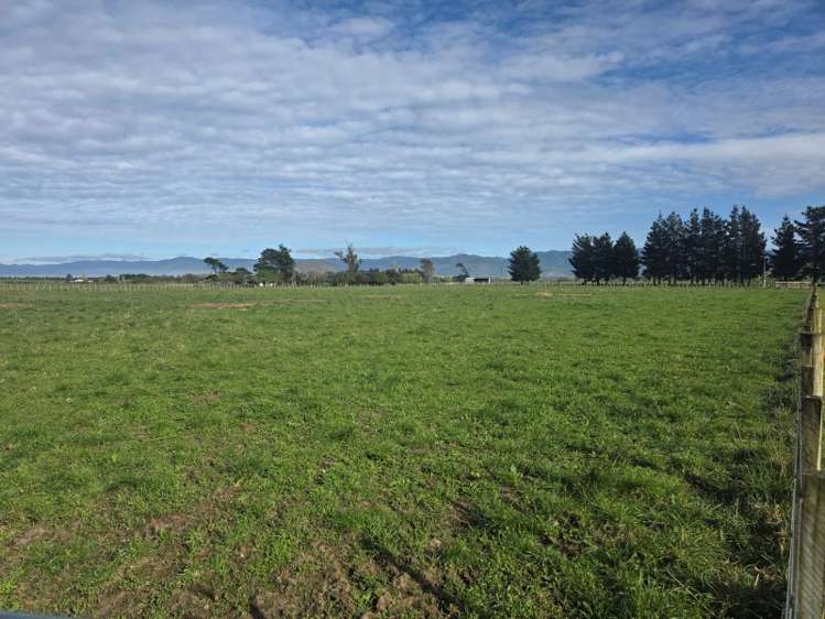 Kahutara  Road Martinborough_4