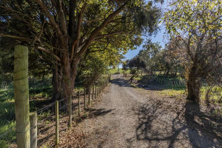 207 Totaramahonga Road Dannevirke_27
