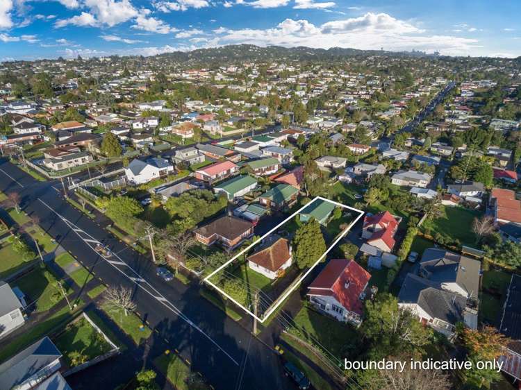 123 Astley Avenue New Lynn_22