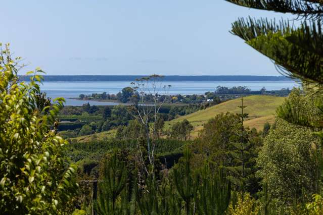 236 Willoughby Road Tahawai_2