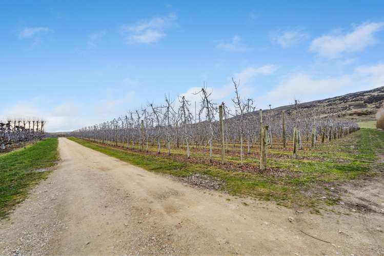 213 Kinaston Road Roxburgh_17