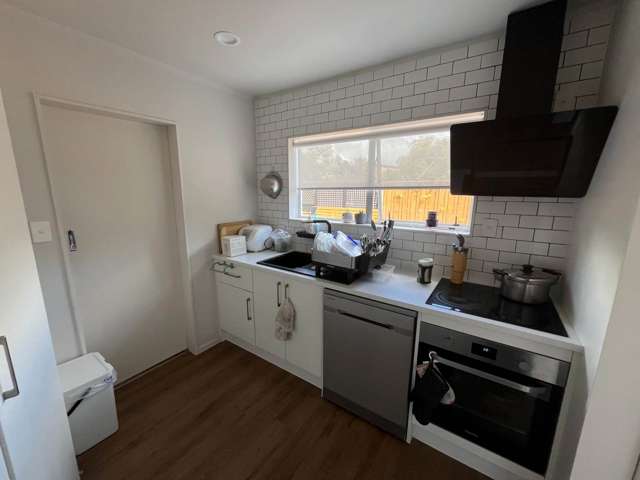 2/41 Seabrook Avenue New Lynn_2