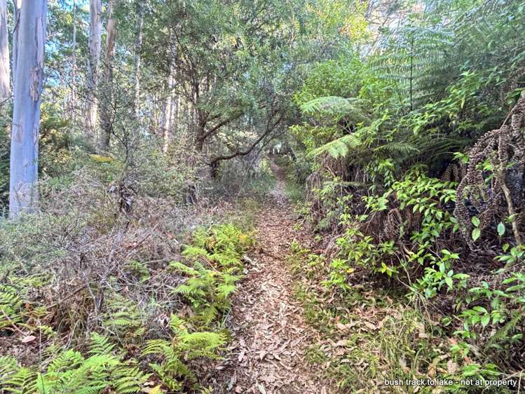 314 Onekura Road Kerikeri_32