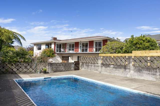 205 Tiro Tiro Road Levin_1