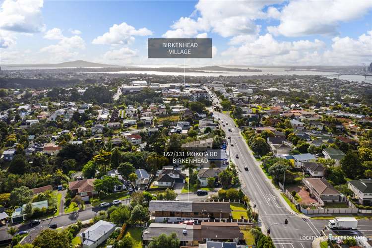 1/131 Mokoia Road Birkenhead_17