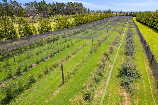 438B Alfred Road Egmont Village_2