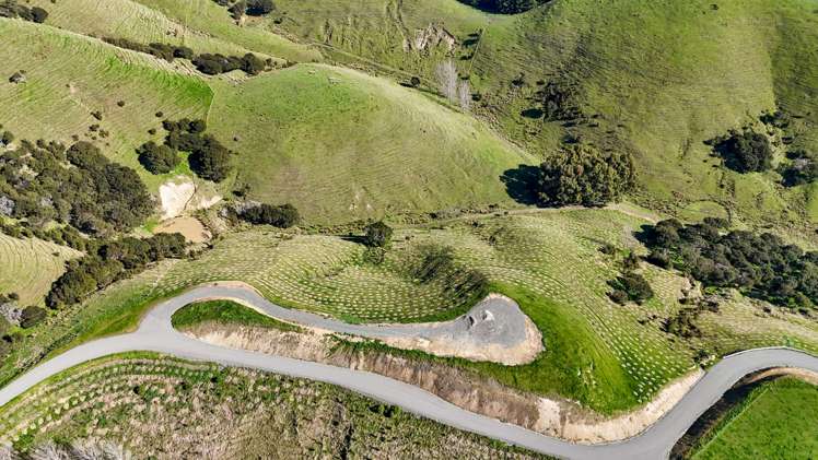 24 Sinclair Way Martinborough_15