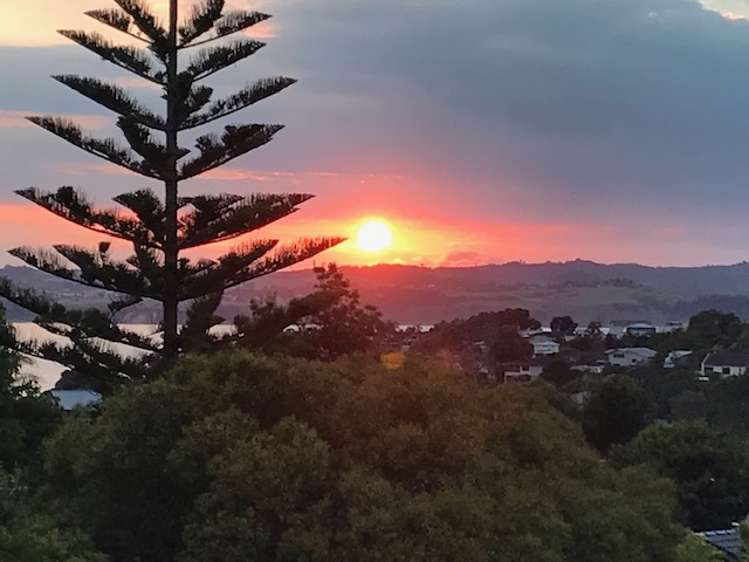 50 Alexander Street Cockle Bay_19