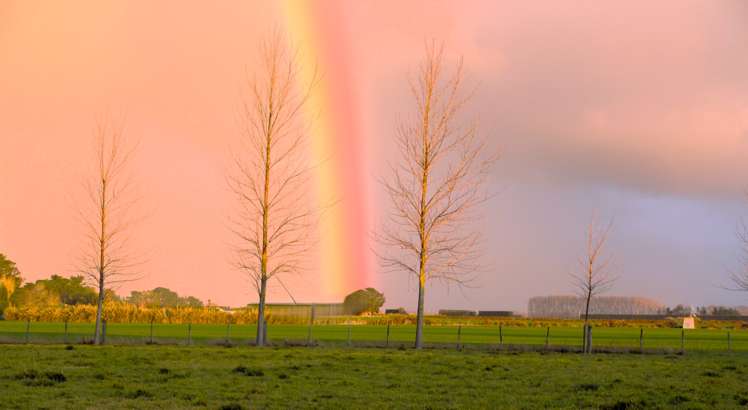 3 Gibraltar Close Tai Tapu_10