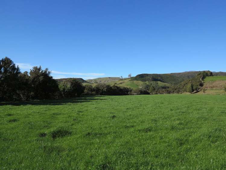 444 Aorere Valley Road Kahurangi National Park_24