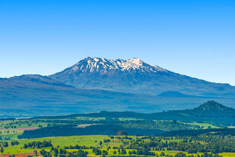 Lot 1, 2725 State Highway 41_2