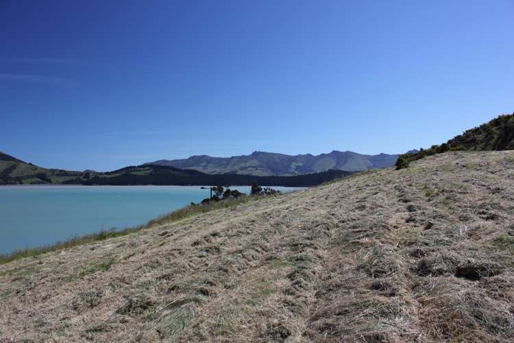 4 Kaioruru Lane Charteris Bay_11