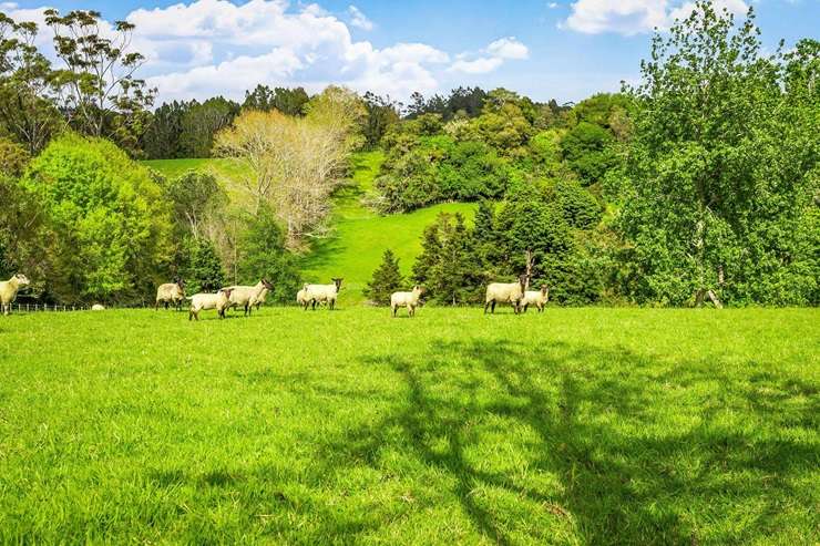 Riverina, in Warkworth, north of Auckland, has been bought for an undisclosed sum by a local buyer with a passion for historic buildings. Photo / Supplied