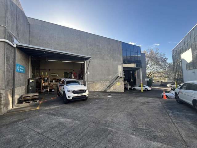 5 Wilkins Street Freemans Bay_1