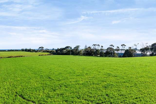 0n Ranfurly Street Waitara_3