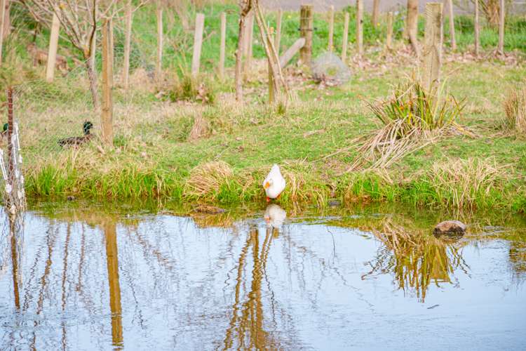 653 No 3 Line Okoia_18