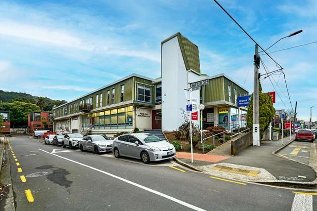 17 Adelaide Road Mount Cook_1