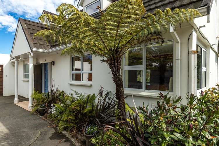 232 Howick Road Witherlea_22