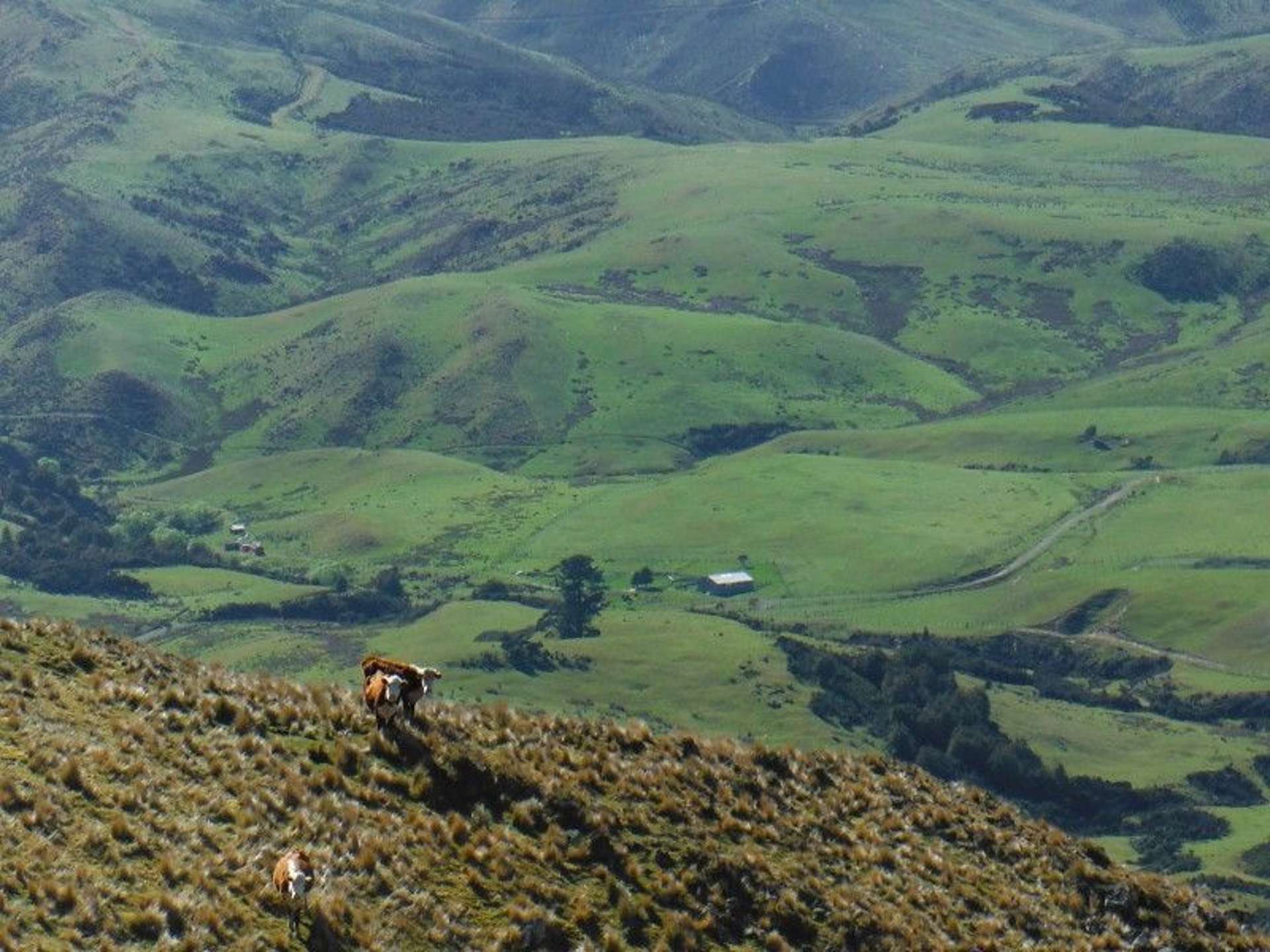 1685 Okuku Pass Road Okuku Range_0