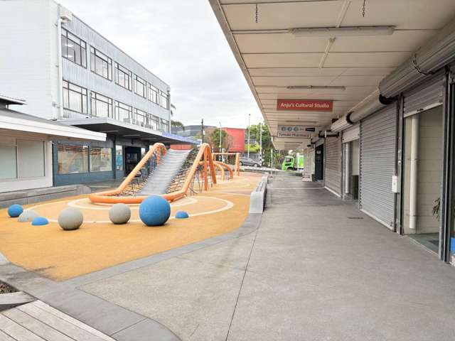 14 Clifton Court Panmure_3