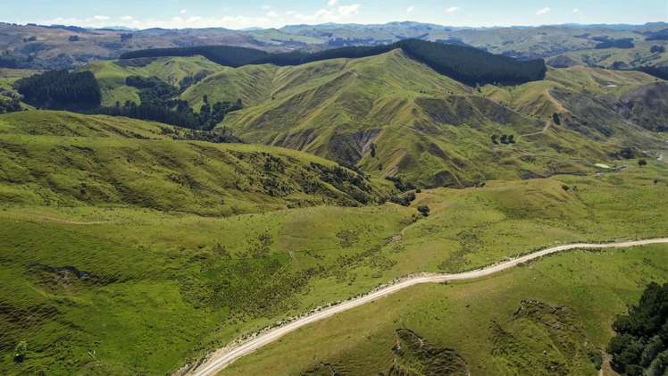 1543 Annedale Road Tinui_4