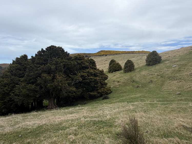 490 Long Bay Road Akaroa_23