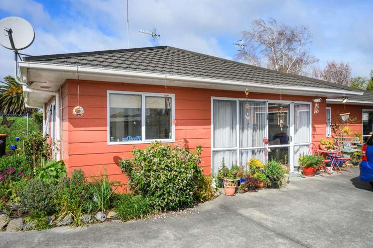 48 Botanical Road Takaro_11