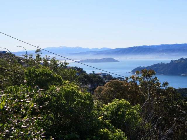 17A Marewa Road Hataitai_4