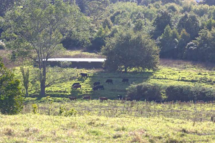 5 Waikopua Road Whitford_5