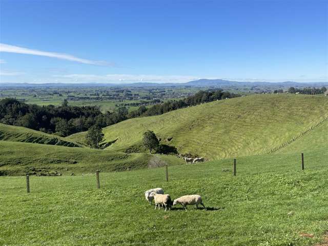 1/585 O'Shea Road Pirongia_2