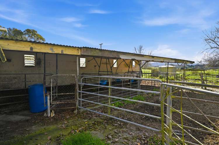 365 Halcrow Road Reporoa_16