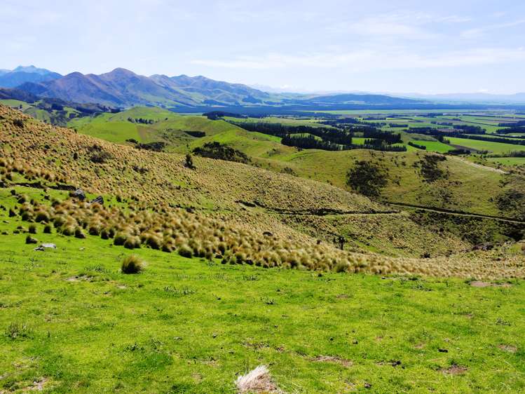 231 Powers Road Hawarden_17