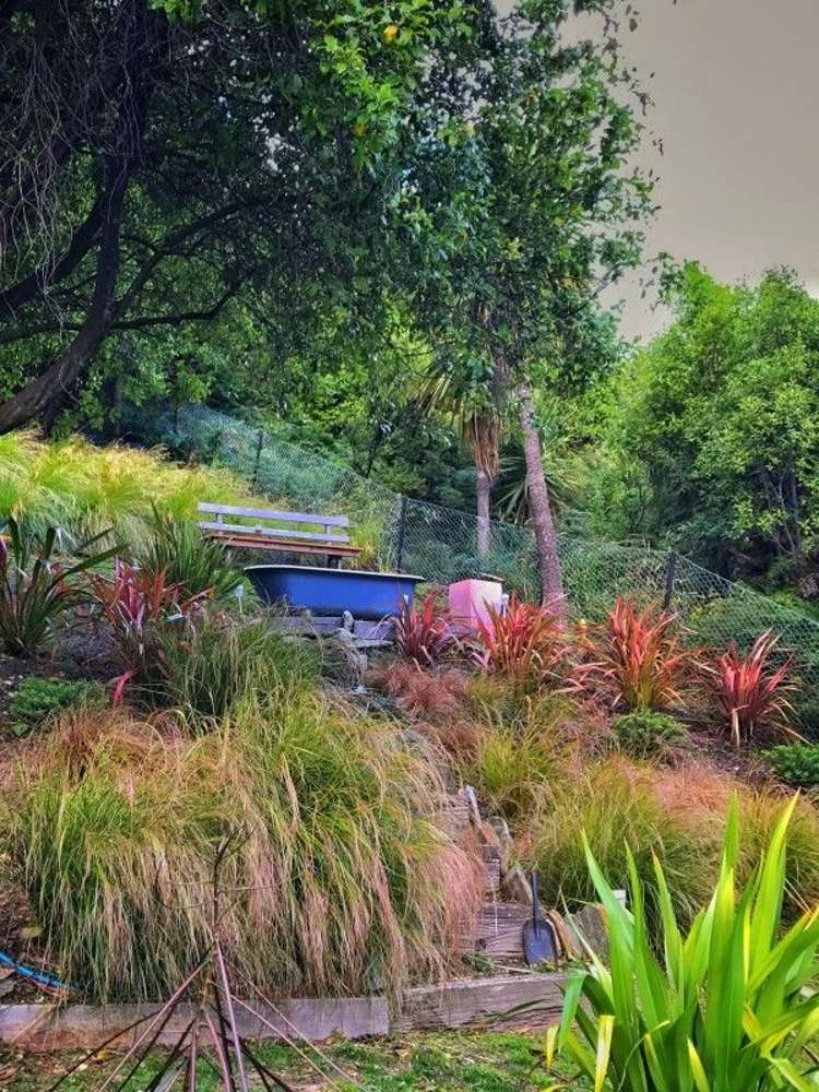 14 Corsican Drive Ben Lomond_6