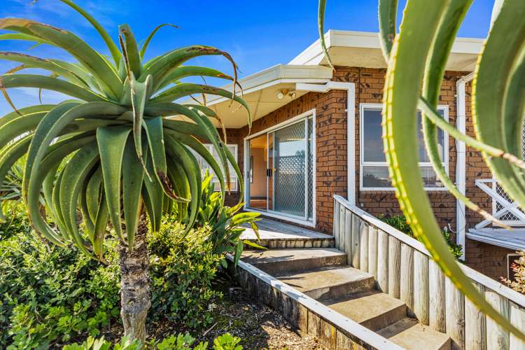 18 Tweed Street Mount Maunganui_6